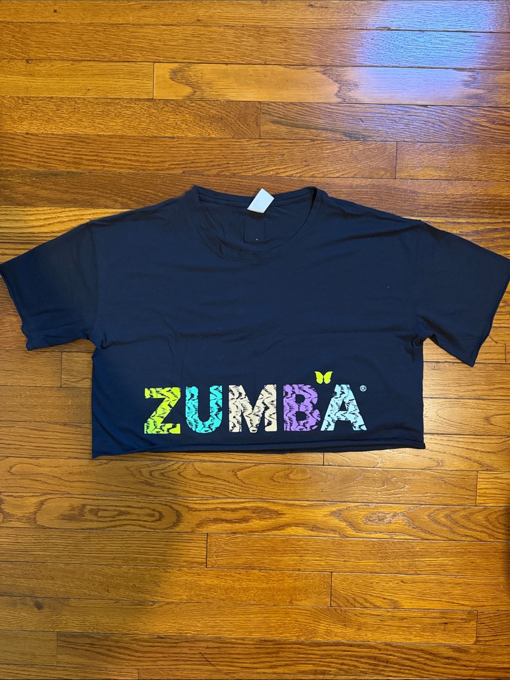 Zumba Fitness Black Kids Crop Tee with Neon Multicolor Logo